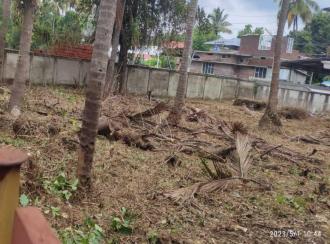 Residential Land for SaleThrissur, Thrissur, Kalathode