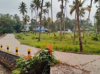 Residential Land for SaleErnakulam, Koonammavu, Kongorppilly