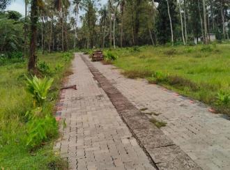 Residential Land for Sale in Ernakulam, Koonammavu, Kongorppilly
