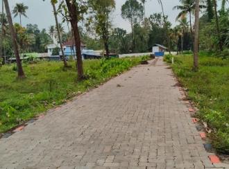 Residential Land for Sale in Ernakulam, Koonammavu, Kongorppilly