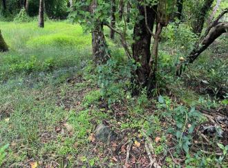 Residential Land for Sale in Ernakulam, Ernakulam town, Njarackal
