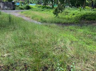 Residential Land for Sale in Ernakulam, Ernakulam town, Njarackal
