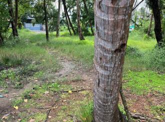 Residential Land for Sale in Ernakulam, Ernakulam town, Njarackal