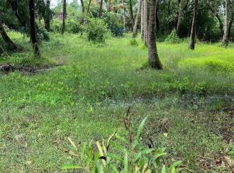 Residential Land for Sale in Ernakulam, Ernakulam town, Njarackal