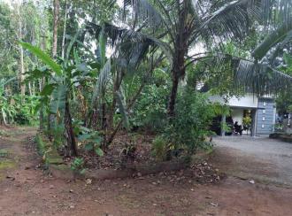 Residential House Villa for Sale in Pathanamthitta, Pathanamthitta, Santhosh mukku