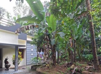 Residential House Villa for Sale in Pathanamthitta, Pathanamthitta, Santhosh mukku