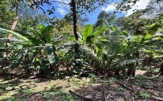 Residential House Villa for Sale in Pathanamthitta, Pathanamthitta, Santhosh mukku