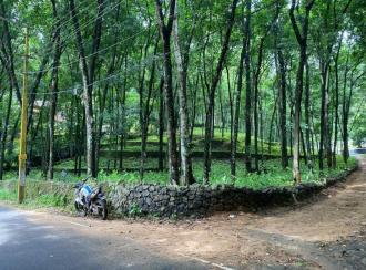 Residential Land for Sale in Kottayam, Pala, Kalaketty