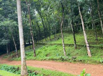 Residential Land for Sale in Kottayam, Pala, Kalaketty