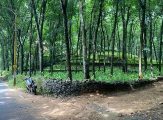 Residential Land for Sale in Kottayam, Pala, Kalaketty