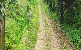 Residential Land for SalePalakkad, Shoranur, Karakkad