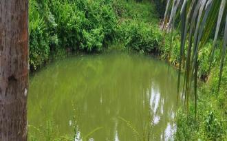 Residential Land for Sale in Palakkad, Shoranur, Karakkad