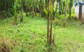 Residential Land for Sale in Palakkad, Shoranur, Karakkad