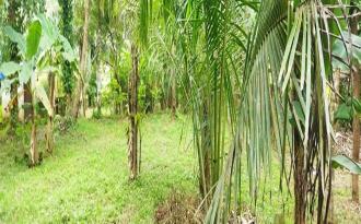 Residential Land for Sale in Palakkad, Shoranur, Karakkad