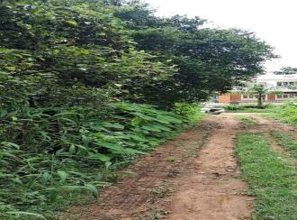 Residential Land for SaleThrissur, Chalakudy, Vellanchira
