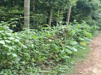 Residential Land for Sale in Thrissur, Chalakudy, Vellanchira