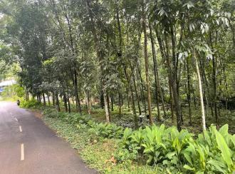 Residential Land for SaleKottayam, Kanjirapally, Manimala