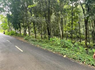 Residential Land for Sale in Kottayam, Kanjirapally, Manimala