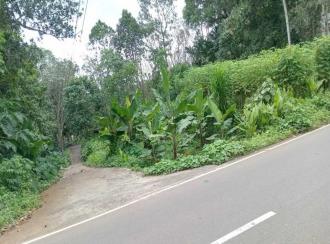Residential Land for SalePathanamthitta, Mallappally, Palackathakidi