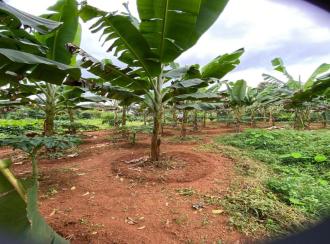 Residential Land for Sale