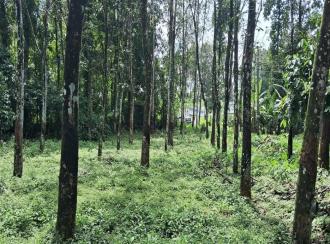 Residential Land for Sale in Kottayam, Pala, Pala