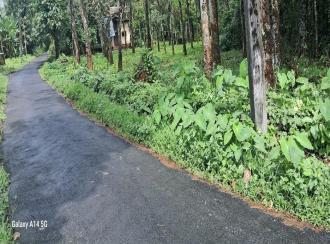 Residential Land for Sale in Kottayam, Pala, Pala