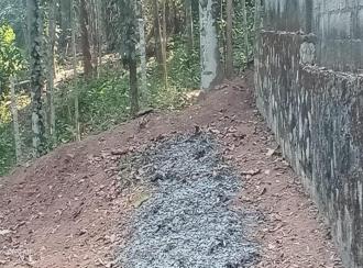 Residential Land for Sale in Trivandrum, Nedumangad, Koliyakode