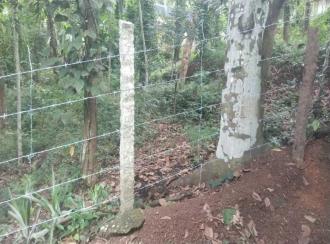 Residential Land for Sale in Trivandrum, Nedumangad, Koliyakode