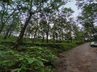 Agricultural Land for Sale in Idukki, Thodupuzha, Velliamattom