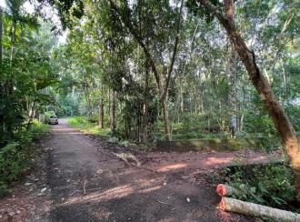 Residential Land for SaleTrivandrum, Vattappara, Vencode