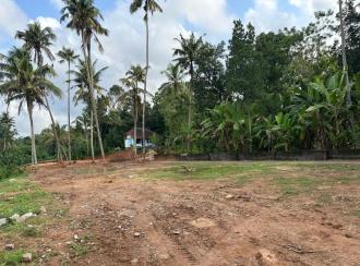 Commercial Land for Sale in Trivandrum, Attingal, Nagaroor