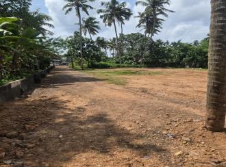 Commercial Land for Sale in Trivandrum, Attingal, Nagaroor
