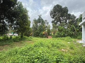 Residential Land for Sale in Thrissur, Kodakara, Kodakara