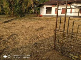 Residential Land for Sale in Alleppey, Mavelikara, Thazhakara
