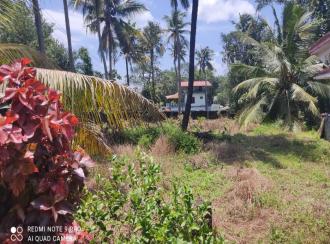 Residential Land for Sale in Alleppey, Mavelikara, Charummood