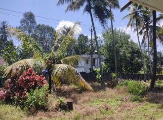 Residential Land for Sale in Alleppey, Mavelikara, Charummood