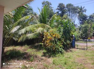 Residential Land for Sale in Alleppey, Mavelikara, Charummood