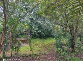 Residential Land for Sale in Alleppey, Mavelikara, Charummood