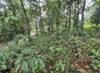 Residential Land for SaleKottayam, Karukachal, Mundathanam