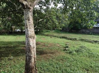 Residential Land for SaleKottayam, Manarcad, Manarcad