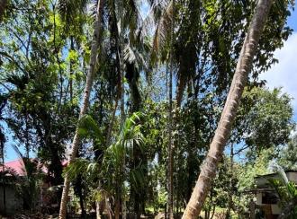 Residential Land for Sale in Pathanamthitta, Thiruvalla, Niranam