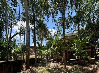 Residential Land for Sale in Pathanamthitta, Thiruvalla, Niranam