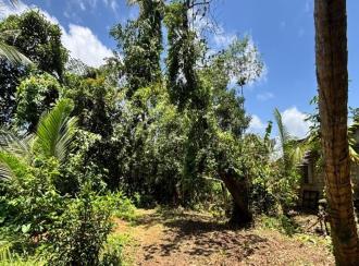 Residential Land for Sale in Pathanamthitta, Thiruvalla, Niranam