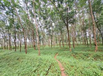Residential Land for Sale