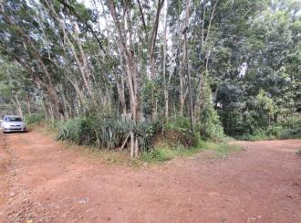 Residential Land for Sale in Kollam, Kadakkal, Kadakkal