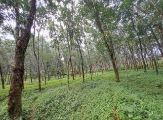 Residential Land for Sale in Kollam, Kadakkal, Kadakkal