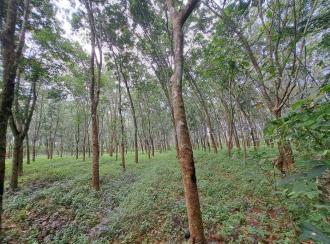 Residential Land for Sale in Kollam, Kadakkal, Kadakkal