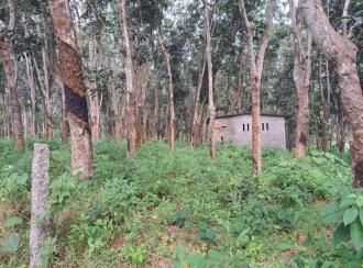 Residential Land for Sale in Kollam, Kadakkal, Kadakkal