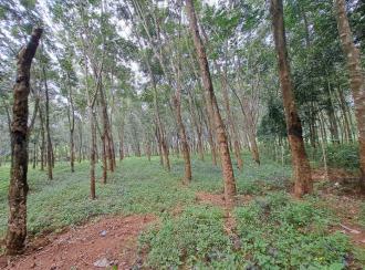 Residential Land for Sale in Kollam, Kadakkal, Kadakkal