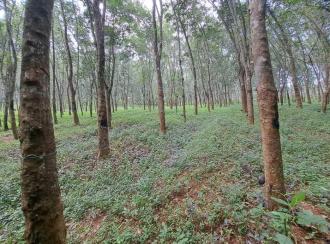 Residential Land for Sale in Kollam, Kadakkal, Kadakkal